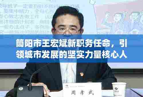 筒阳市王宏斌新职务任命，引领城市发展的坚实力量核心人物解析