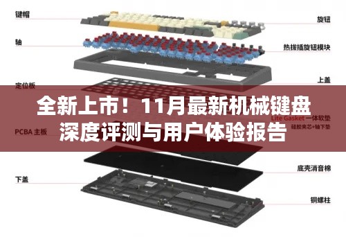 全新上市!11月最新机械键盘深度评测与用户体验报告