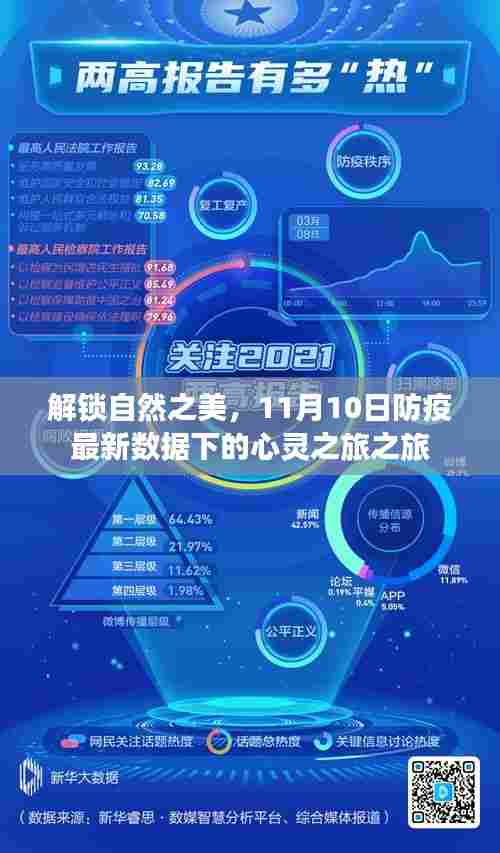 解锁自然之美,11月10日防疫最新数据下的心灵之旅之旅