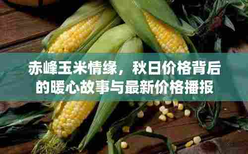 赤峰玉米情缘,秋日价格背后的暖心故事与最新价格播报