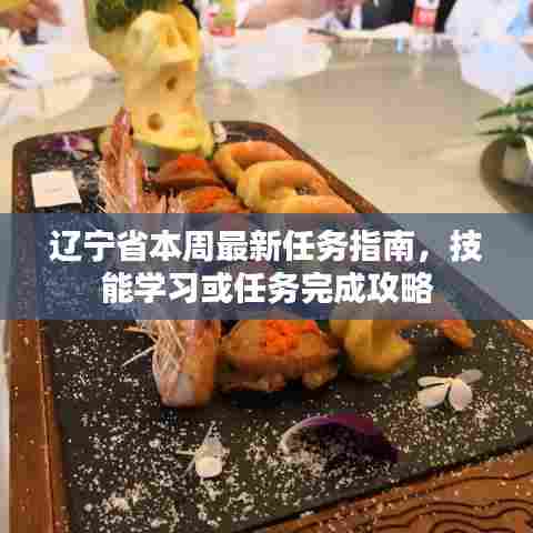 辽宁省本周最新任务指南,技能学习或任务完成攻略