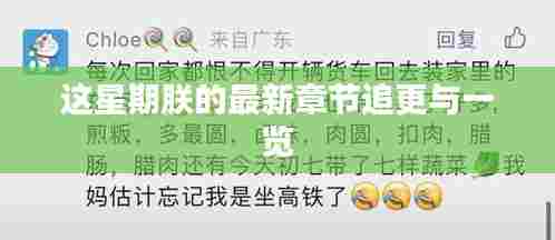 这星期朕的最新章节追更与一览