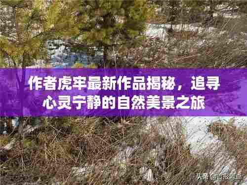 作者虎牢最新作品揭秘，追寻心灵宁静的自然美景之旅