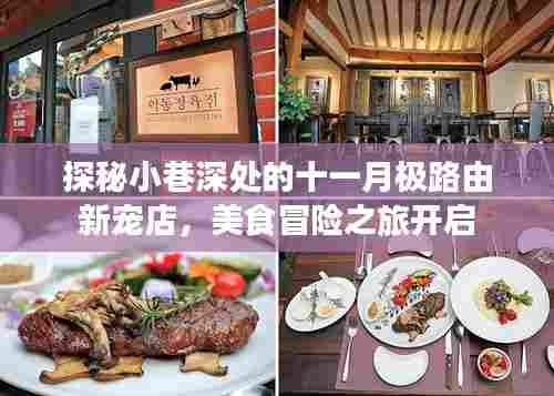 探秘小巷深处的十一月极路由新宠店,美食冒险之旅开启
