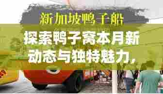 探索鸭子窝本月新动态与独特魅力,最新趋势一网打尽