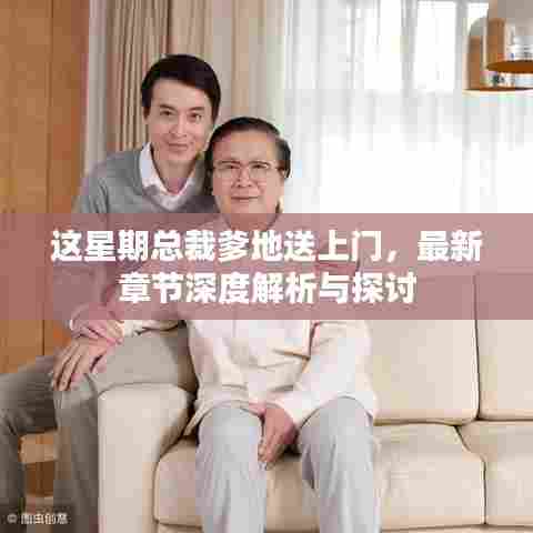 这星期总裁爹地送上门,最新章节深度解析与探讨