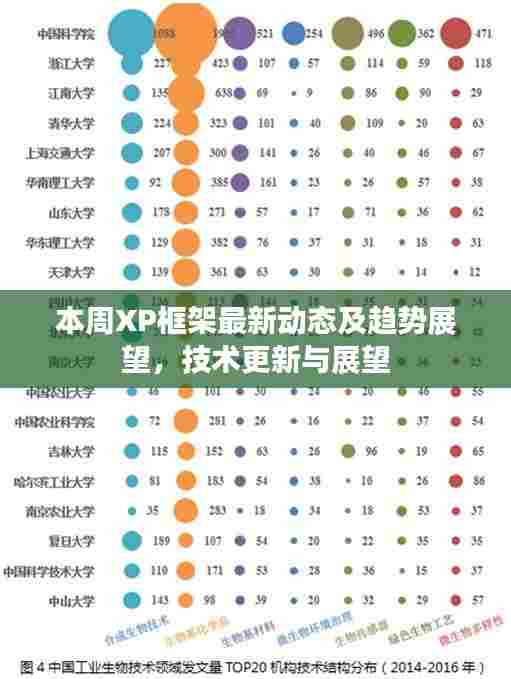 本周XP框架最新动态及趋势展望,技术更新与展望