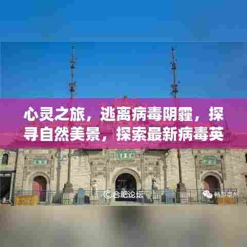 心灵之旅，逃离病毒阴霾，探寻自然美景，探索最新病毒英文报道