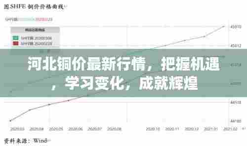 河北铜价最新行情,把握机遇,学习变化,成就辉煌