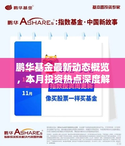 鹏华基金最新动态概览,本月投资热点深度解析