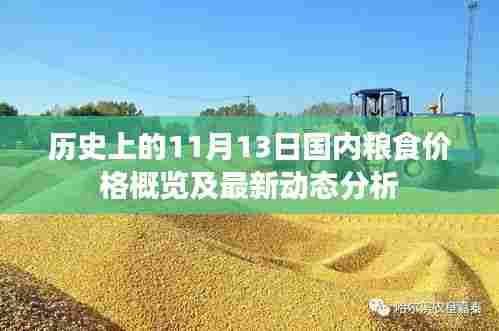历史上的11月13日国内粮食价格概览及最新动态分析