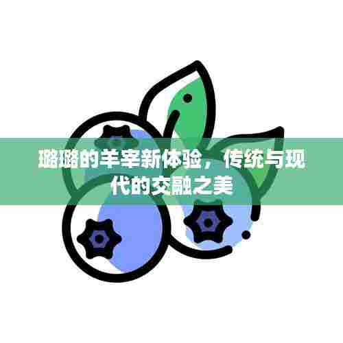 璐璐的羊宰新体验，传统与现代的交融之美