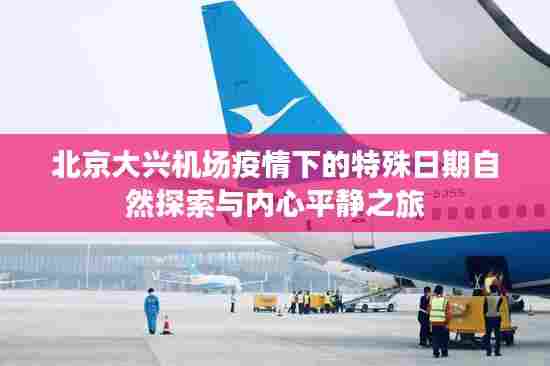 北京大兴机场疫情下的特殊日期自然探索与内心平静之旅