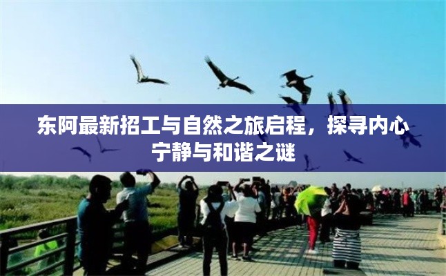东阿最新招工与自然之旅启程，探寻内心宁静与和谐之谜