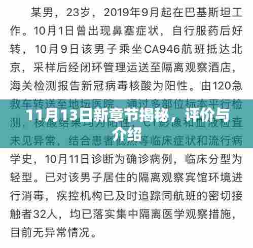 11月13日新章节揭秘，评价与介绍