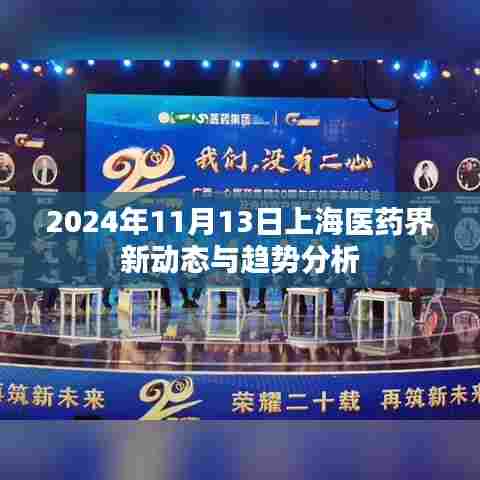2024年11月13日上海医药界新动态与趋势分析