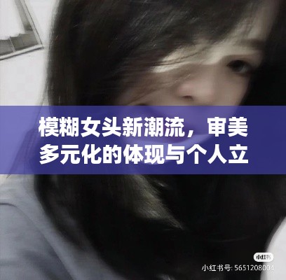 模糊女头新潮流,审美多元化的体现与个人立场探讨(2024年11月)