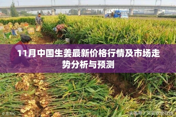 荡然无存 第7页