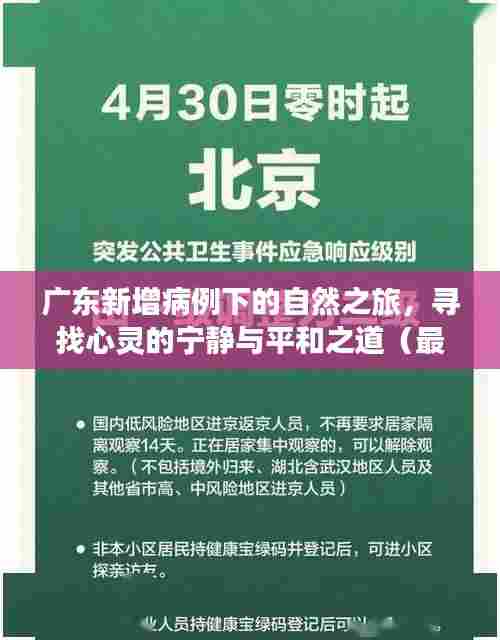 广东新增病例下的自然之旅，寻找心灵的宁静与平和之道（最新全国数据）