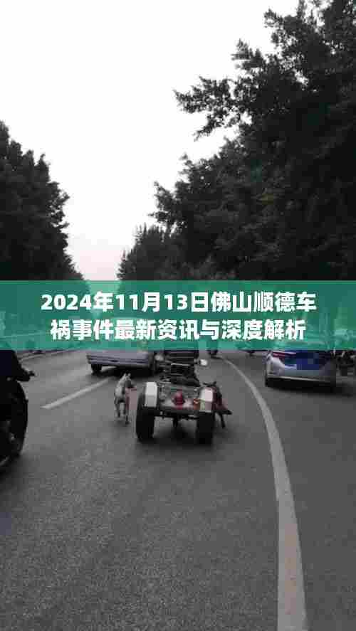 优秀摄影 第520页