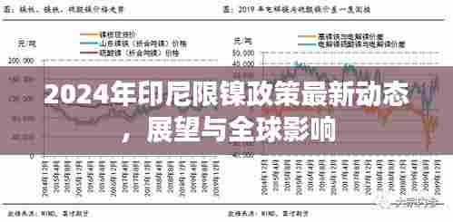 2024年印尼限镍政策最新动态，展望与全球影响