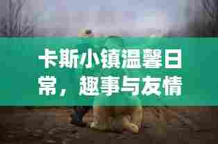 卡斯小镇温馨日常,趣事与友情的记录——2024年11月13日最新动态