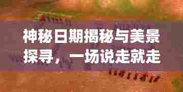神秘日期揭秘与美景探寻，一场说走就走的冒险之旅——纪念历史上的11月13日yjizz最新篇章