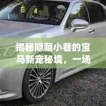 揭秘隐藏小巷的宝马新宠秘境,一场不期而遇的驾驶盛宴——宝马最新款车型探秘