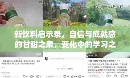新饮料启示录，自信与成就感的甘甜之泉，变化中的学习之旅（2017年11月最新饮料概览）