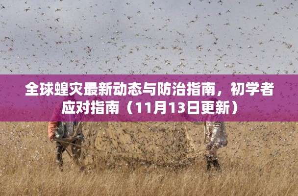全球蝗灾最新动态与防治指南,初学者应对指南(11月13日更新)