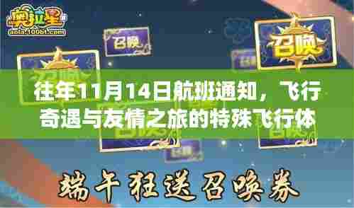 往年11月14日航班通知,飞行奇遇与友情之旅的特殊飞行体验
