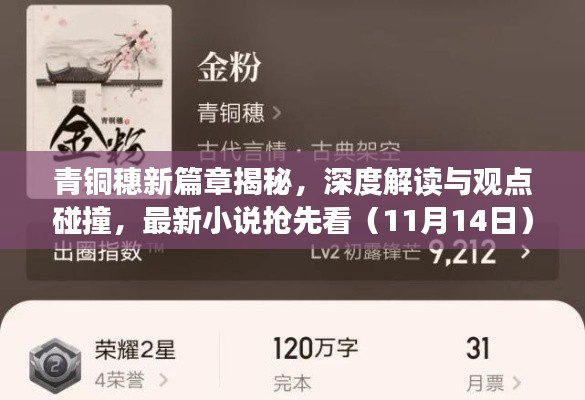 青铜穗新篇章揭秘,深度解读与观点碰撞,最新小说抢先看(11月14日)