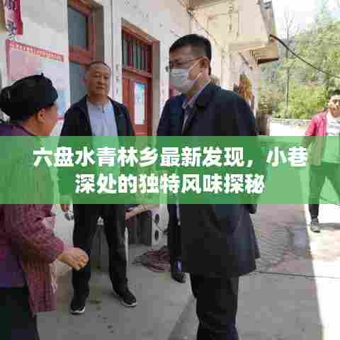 六盘水青林乡最新发现,小巷深处的独特风味探秘
