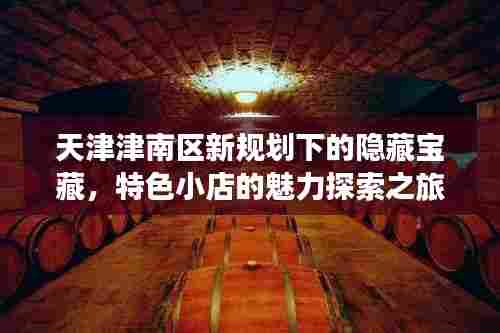 天津津南区新规划下的隐藏宝藏，特色小店的魅力探索之旅