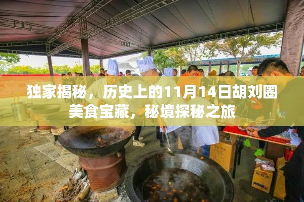 独家揭秘,历史上的11月14日胡刘圈美食宝藏,秘境探秘之旅