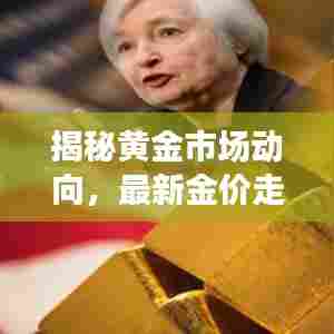 揭秘黄金市场动向,最新金价走势与投资趋势分析(11月14日)