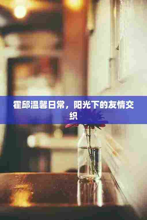 霍邱温馨日常，阳光下的友情交织