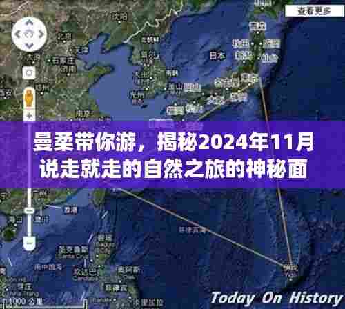 曼柔带你游，揭秘2024年11月说走就走的自然之旅的神秘面纱