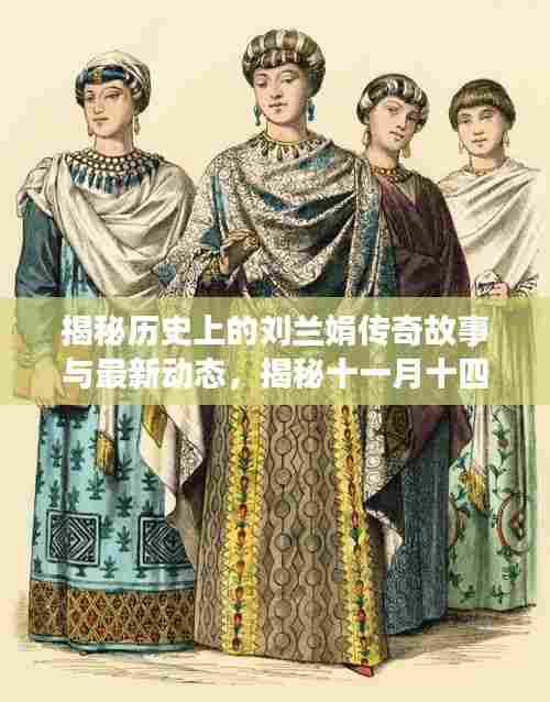 揭秘历史上的刘兰娟传奇故事与最新动态，揭秘十一月十四日事件回顾