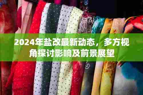 2024年盐改最新动态，多方视角探讨影响及前景展望