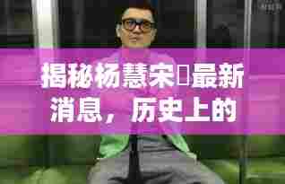 揭秘杨慧宋喆最新消息,历史上的11月14日回顾与揭秘