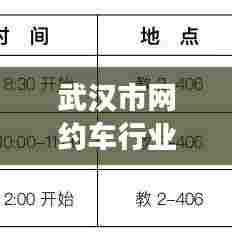 武汉市网约车行业新动态,聚焦变革与影响,最新消息发布于2024年11月14日