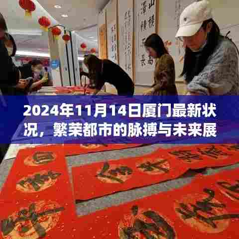 2024年11月14日厦门最新状况，繁荣都市的脉搏与未来展望