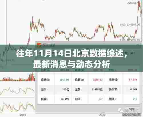 往年11月14日北京数据综述，最新消息与动态分析