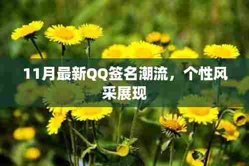 11月最新QQ签名潮流，个性风采展现