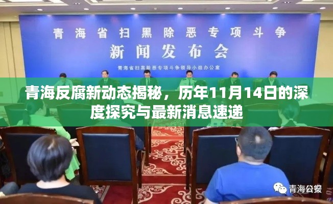 青海反腐新动态揭秘，历年11月14日的深度探究与最新消息速递