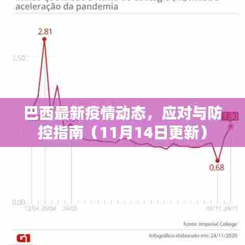 巴西最新疫情动态，应对与防控指南（11月14日更新）