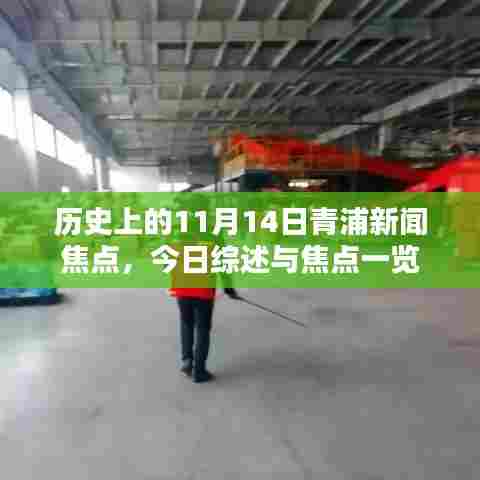 历史上的11月14日青浦新闻焦点，今日综述与焦点一览