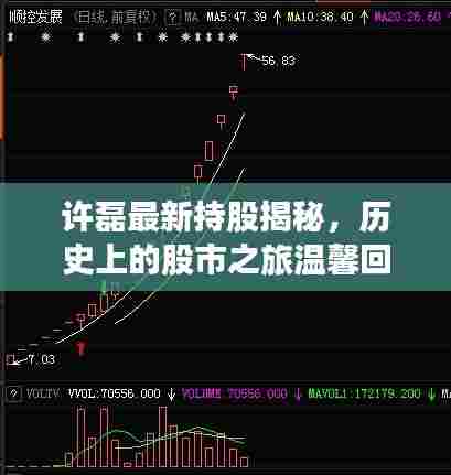 许磊最新持股揭秘,历史上的股市之旅温馨回顾 11月14日持股故事分享
