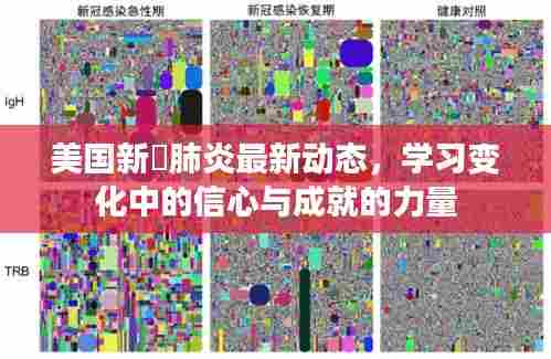 美国新蒄肺炎最新动态，学习变化中的信心与成就的力量